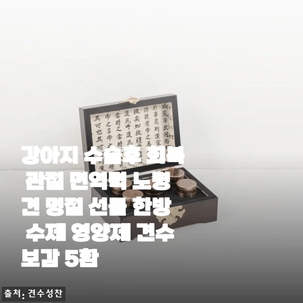 견수보감 5환 한방 영양제 사용후기: 강아지 수술 후 회복과 노령견 건강 관리에 딱 맞는 선택
