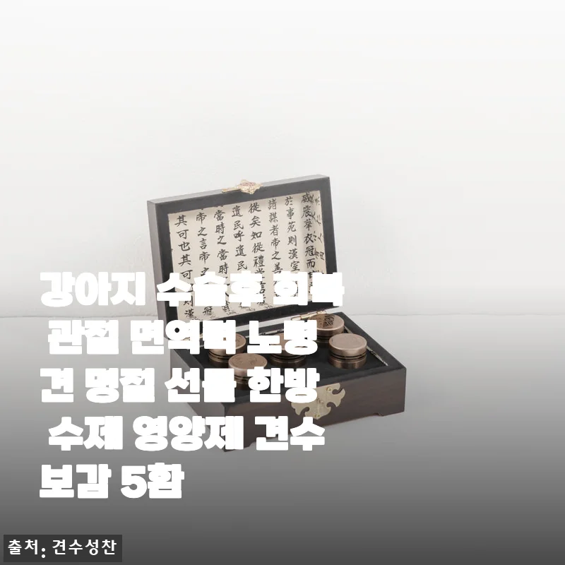 견수보감 5환 한방 영양제 사용후기: 강아지 수술 후 회복과 노령견 건강 관리에 딱 맞는 선택