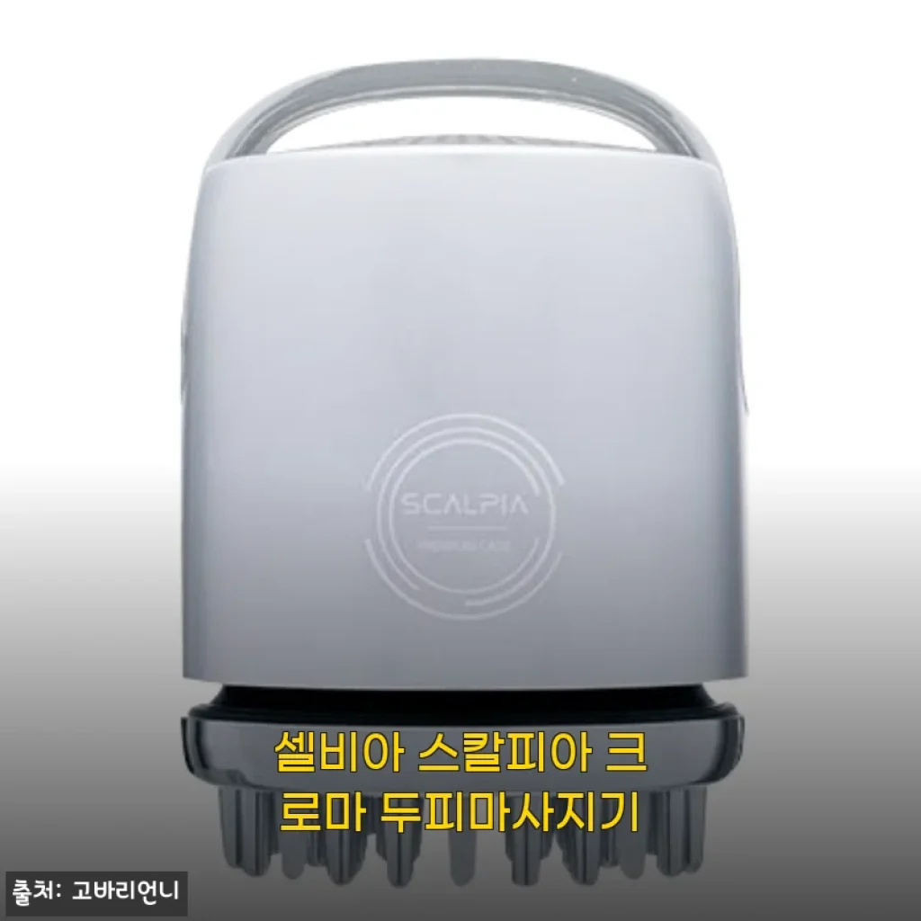 셀비아 스칼피아 크로마 두피마사지기 사용후기와 상세 소개
