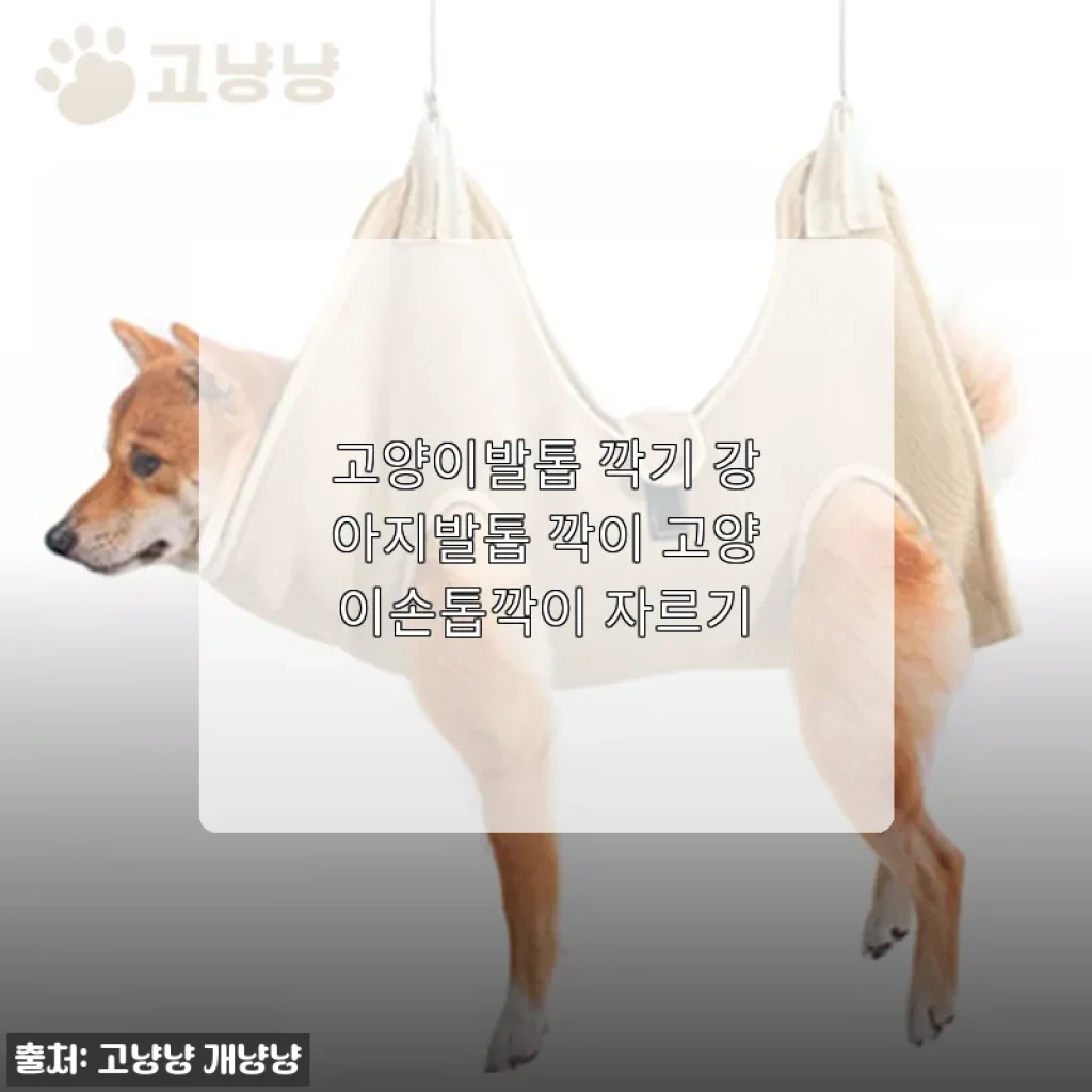 고양이발톱 깍기 강아지발톱 깍이 고양이손톱깍이 자르기 사용 후기와 제품 소개