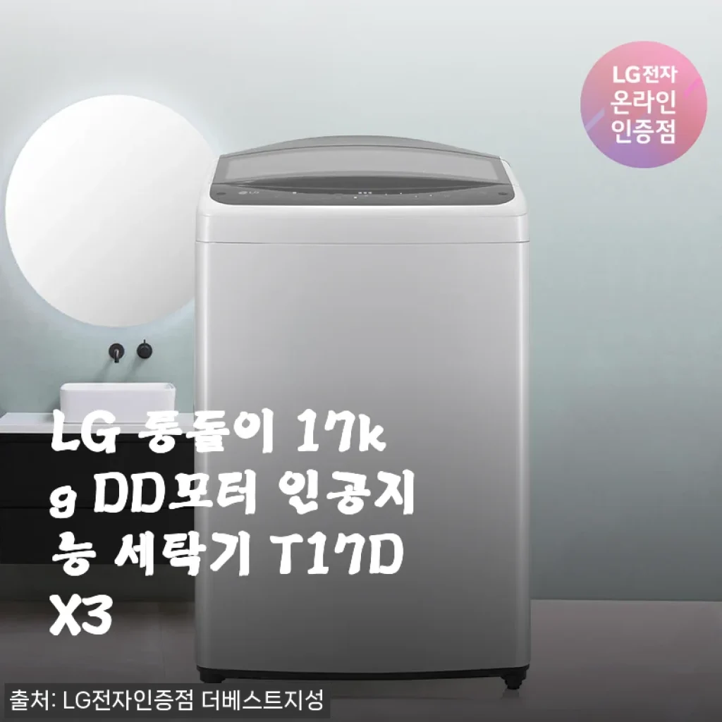 LG 통돌이 17kg DD모터 인공지능 세탁기 T17DX3 사용후기