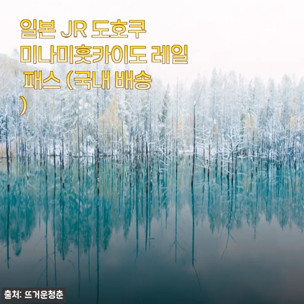 일본 JR 도호쿠 미나미훗카이도 레일 패스 사용후기: 편리함과 가성비를 동시에