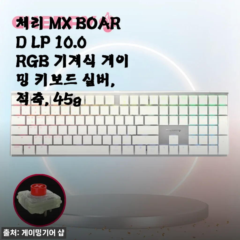 체리 MX BOARD LP 10.0 RGB 기계식 게이밍 키보드 적축 사용후기