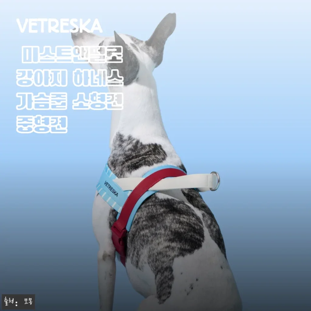 VETRESKA 미스트앤멀로 강아지 하네스 가슴줄 사용후기 – 디자인과 내구성 모두 만족스러운 선택