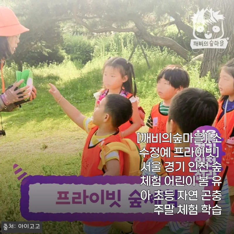서울 경기 인천 숲체험 어린이 봄 유아 초등 자연 곤충 주말 체험 학습 사용 후기