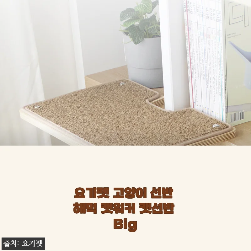 요기펫 고양이 선반 해먹 캣워커 캣선반 Big 사용 후기