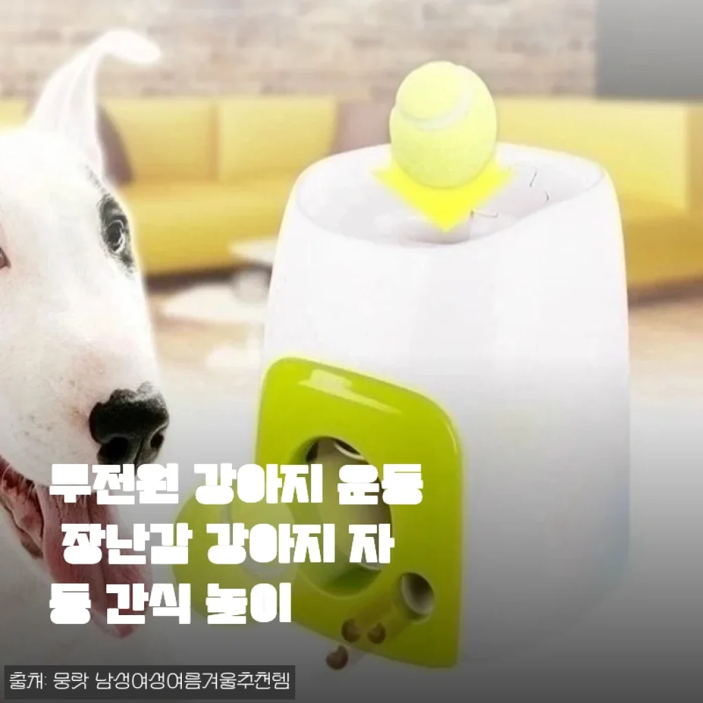 무전원 강아지 운동 장난감, 자동 간식 놀이 사용 후기