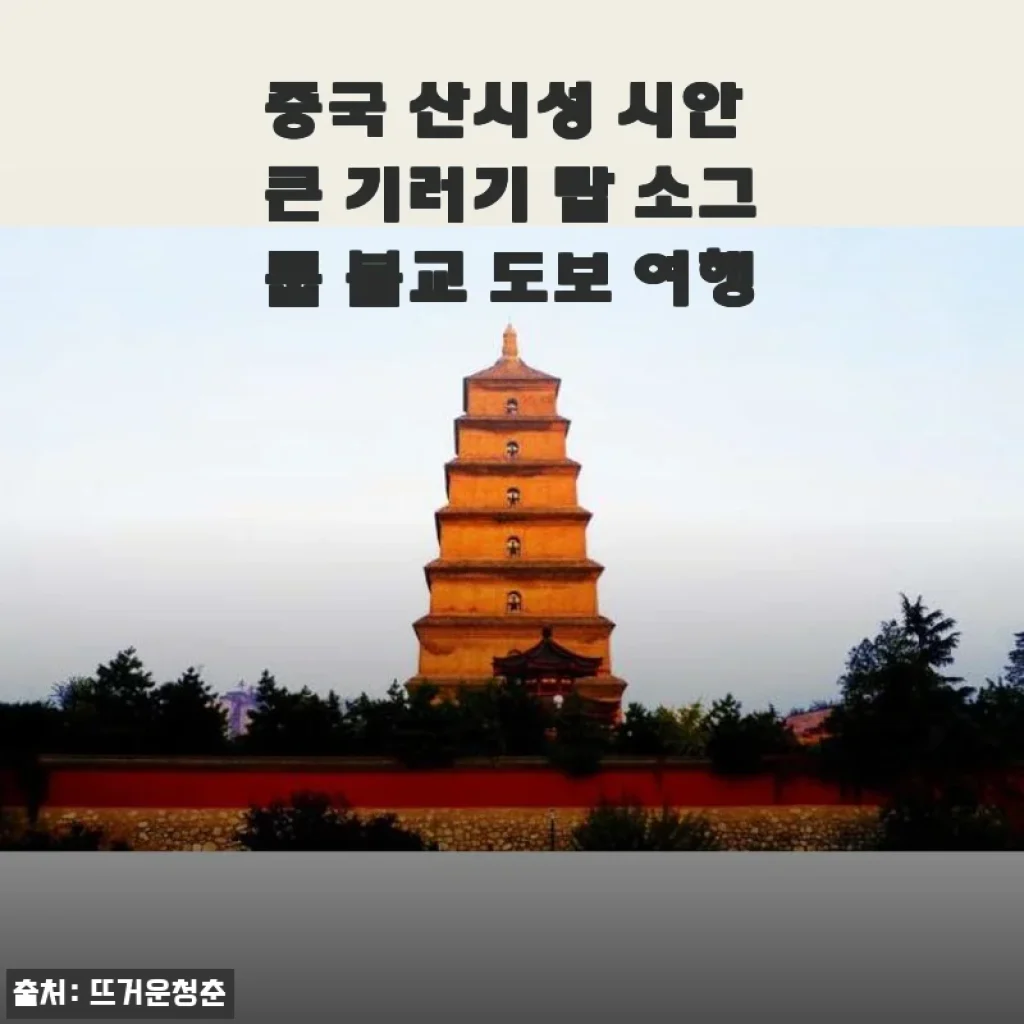중국 산시성 시안 큰 기러기 탑 소그룹 불교 도보 여행 후기 및 상세 소개