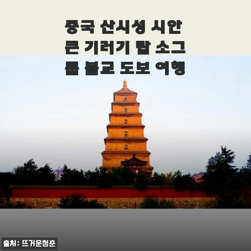 중국 산시성 시안 큰 기러기 탑 소그룹 불교 도보 여행 후기 및 상세 소개
