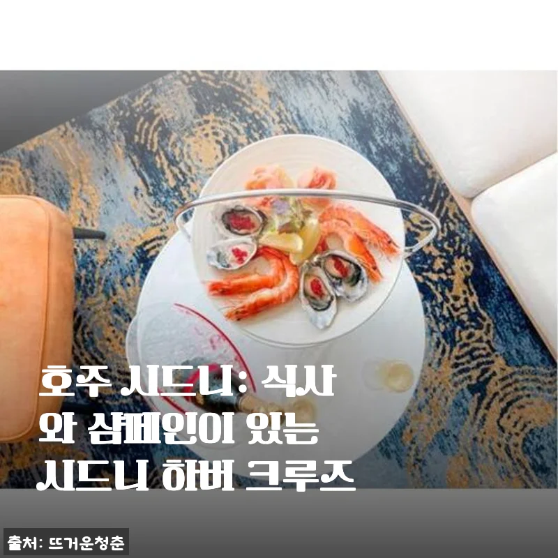 호주 시드니: 식사와 샴페인이 있는 시드니 하버 크루즈 체험 후기
