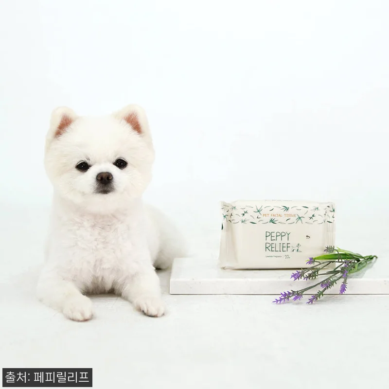 진짜 속 편한 강아지 물티슈, 페피릴 관련 이미지 1