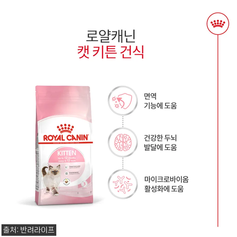 아기 고양이 입맛 저격한 로얄캐닌 키 관련 이미지 1