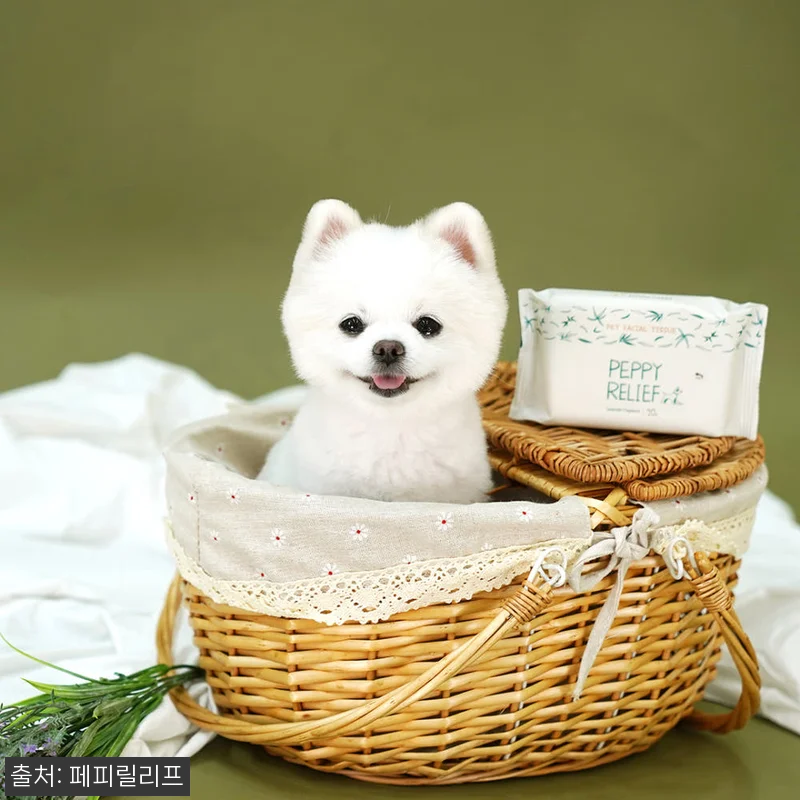 진짜 속 편한 강아지 물티슈, 페피릴 관련 이미지 2