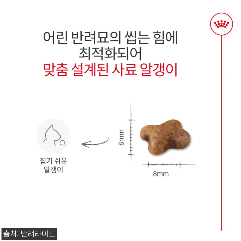 아기 고양이 입맛 저격한 로얄캐닌 키 관련 이미지 2