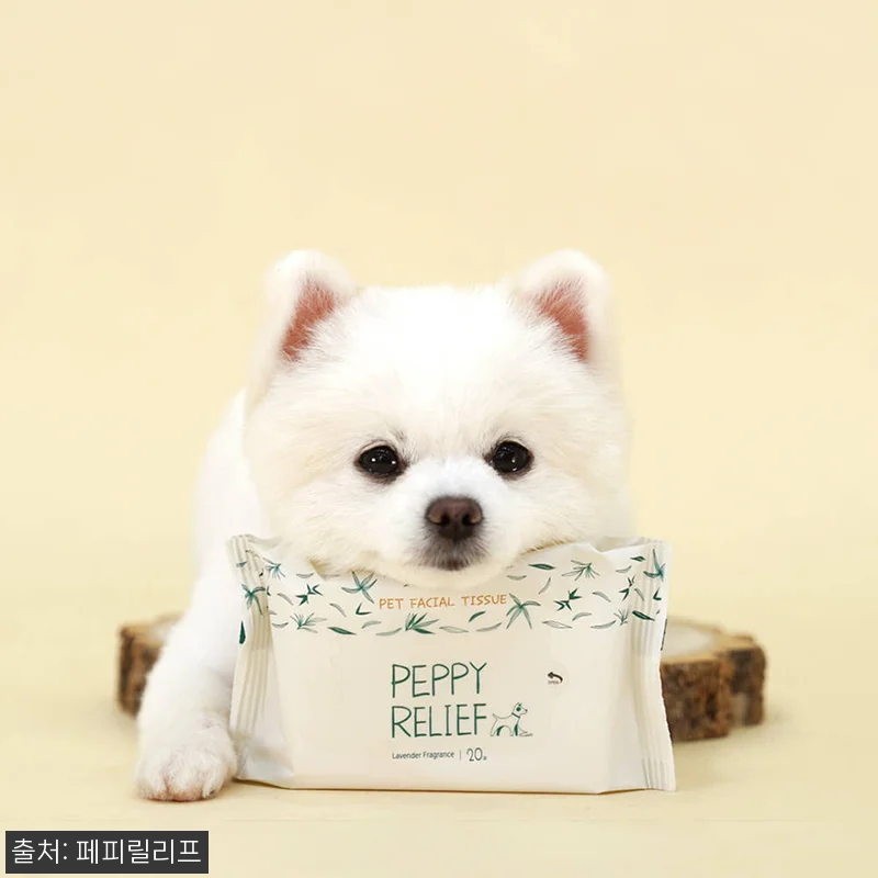 진짜 속 편한 강아지 물티슈, 페피릴 관련 이미지 3