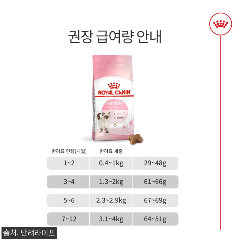아기 고양이 입맛 저격한 로얄캐닌 키 관련 이미지 3