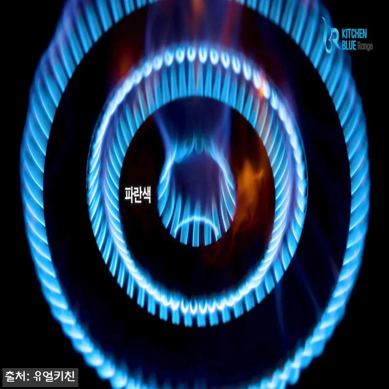 식당 운영 5년차, 영업용가스렌지 1 관련 이미지 1