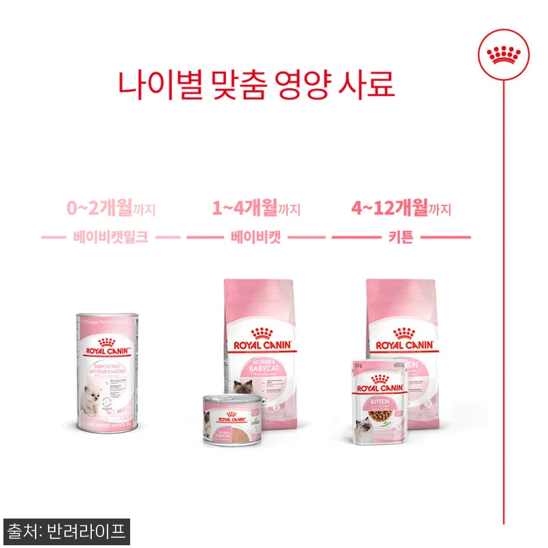 아기 고양이 입맛 저격한 로얄캐닌 키 관련 이미지 5