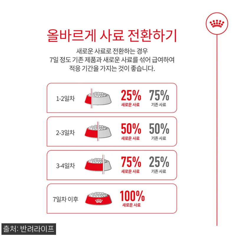 아기 고양이 입맛 저격한 로얄캐닌 키 관련 이미지 6