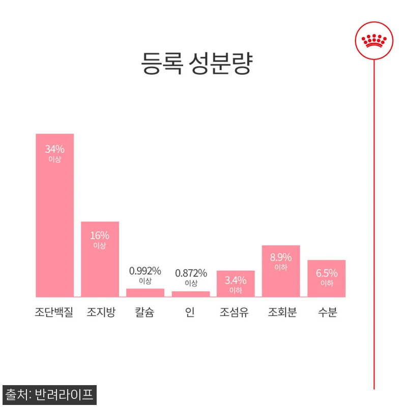 아기 고양이 입맛 저격한 로얄캐닌 키 관련 이미지 7