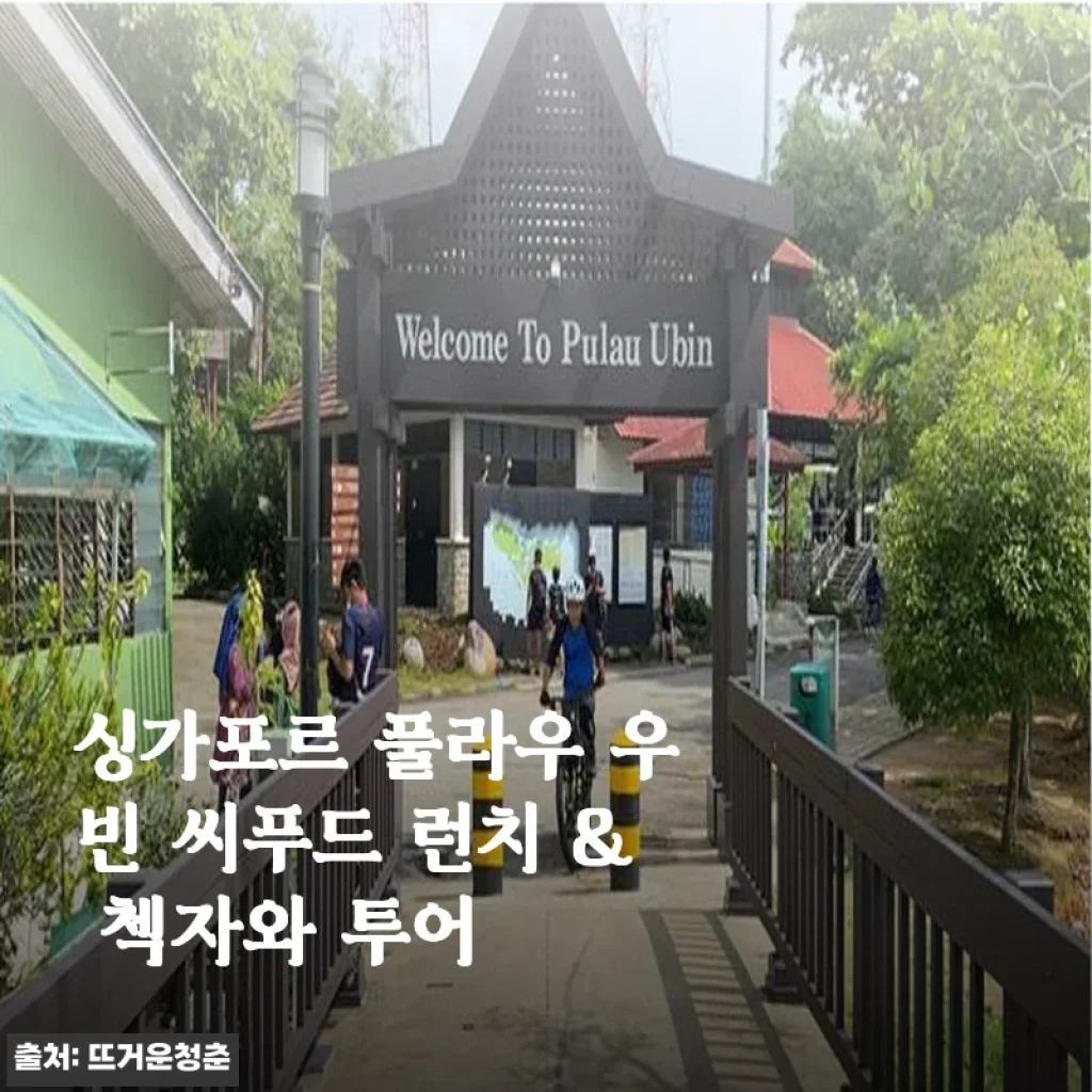 싱가포르 풀라우 우빈 씨푸드 런치 & 첵자와 투어 솔직 후기, 가격 할인 정보까지 한 번에