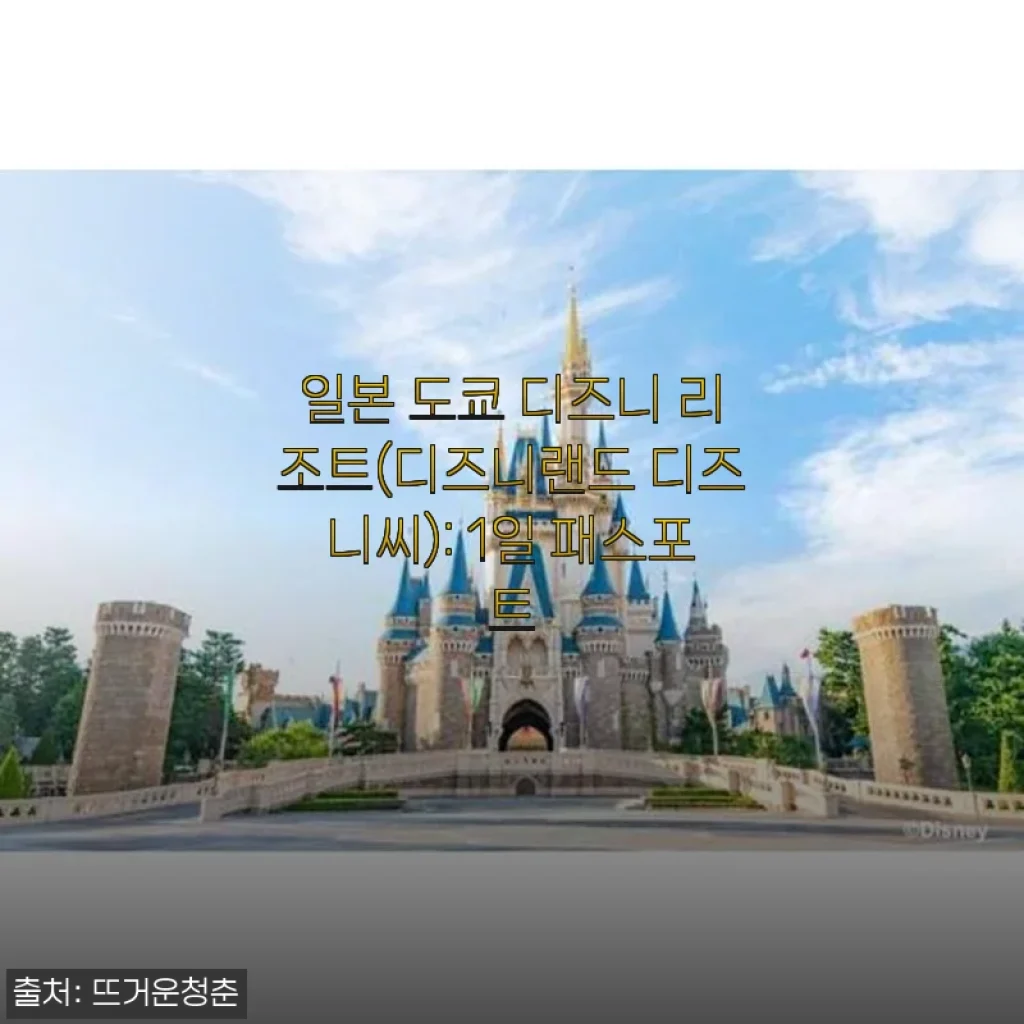 도쿄 디즈니 리조트 1일 패스포트 솔직 후기 (네이버 스마트스토어 할인받고 다녀왔어요)