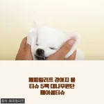 진짜 속 편한 강아지 물티슈, 페피릴리프 대나무원단 5팩 사용기