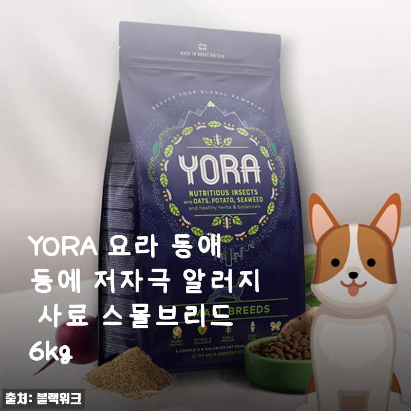 알러지·눈물 자국 때문에 고민이었다면, 요라 스몰브리드 6kg로 바꾸고 달라진 우리 강아지 이야기