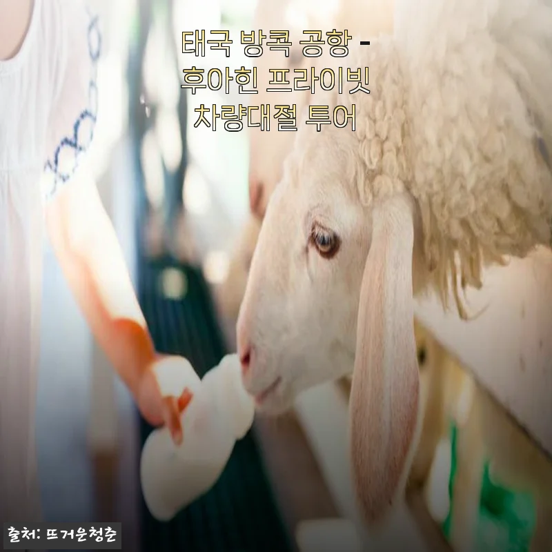 태국 방콕 공항 - 후아힌 프라이빗 차량대절 투어