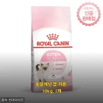 아기 고양이 입맛 저격한 로얄캐닌 키튼 10kg 대용량 후기
