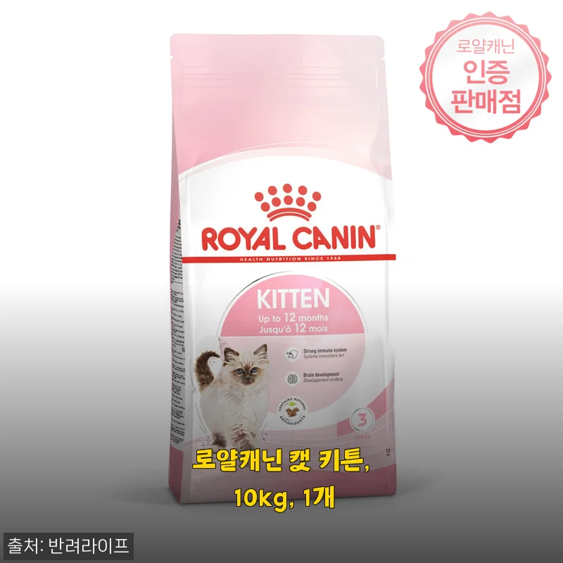 아기 고양이 입맛 저격한 로얄캐닌 키튼 10kg 대용량 후기