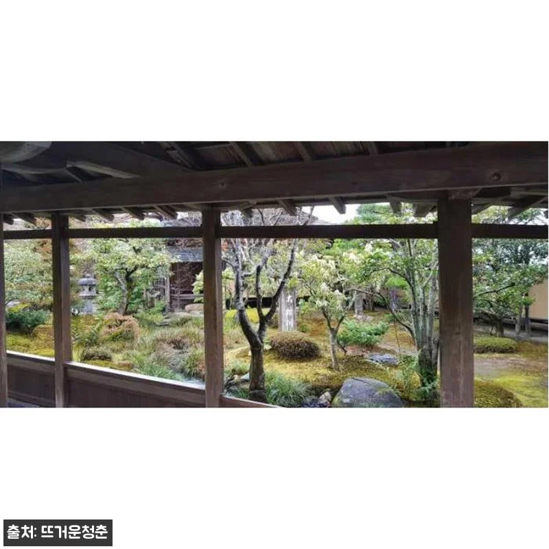 일본 오사카에서 8시간·10시간 투어 관련 이미지 1