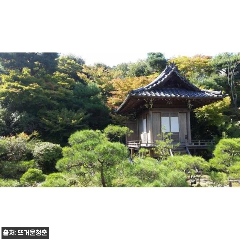 일본 오사카에서 8시간·10시간 투어 관련 이미지 3