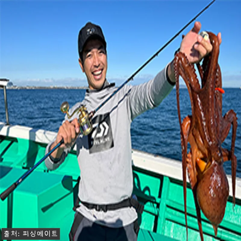 한국다이와 쿄쿠에이 극예 에기타코 1 관련 이미지 3