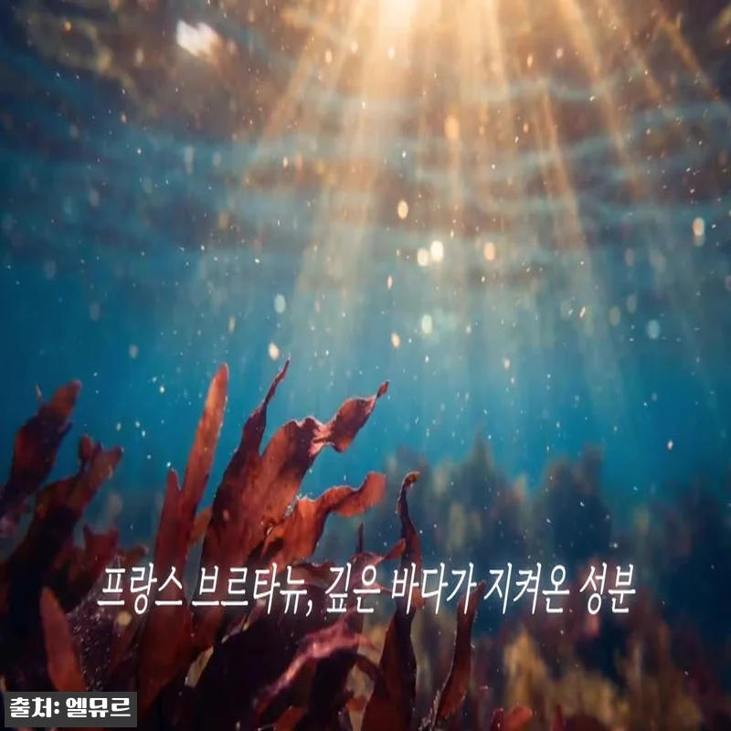 [3+3] 엘뮤르 시그널링 리프팅 펩 관련 이미지 6