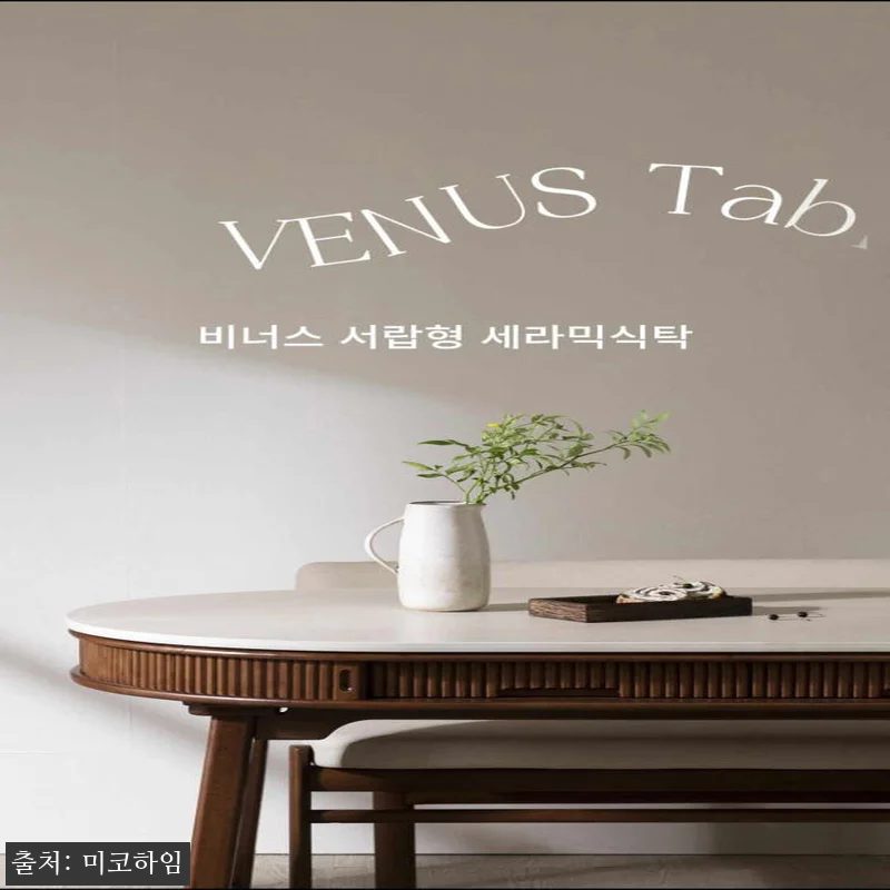 6인 타원 식탁 미코하임 비너스 19 관련 이미지 9