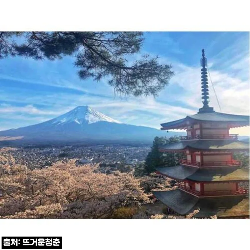 일본 도쿄에서 후지산과 가와구치 호수로의 개인 여행, 프라이빗 이동으로 일정 짜기 좋은 이슈템