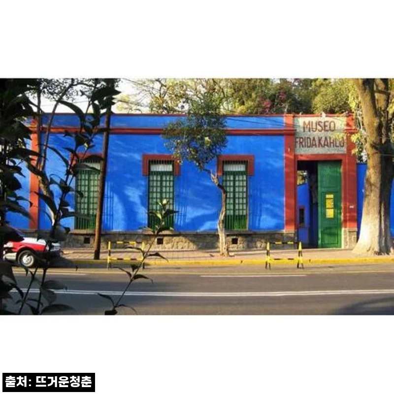 멕시코 멕시코시티 프리다 칼로 박물관·코요아칸·소치밀코, 59% 할인으로 눈여겨볼 자유여행 투어